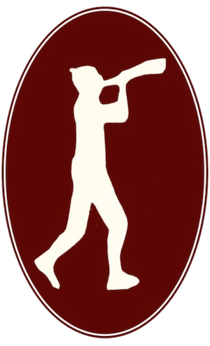 gueggibueb logo